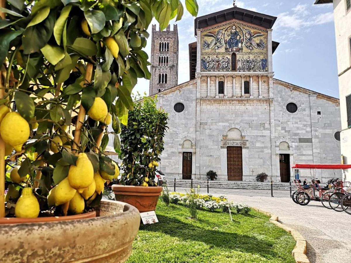 Lucca in Corte Esterno foto