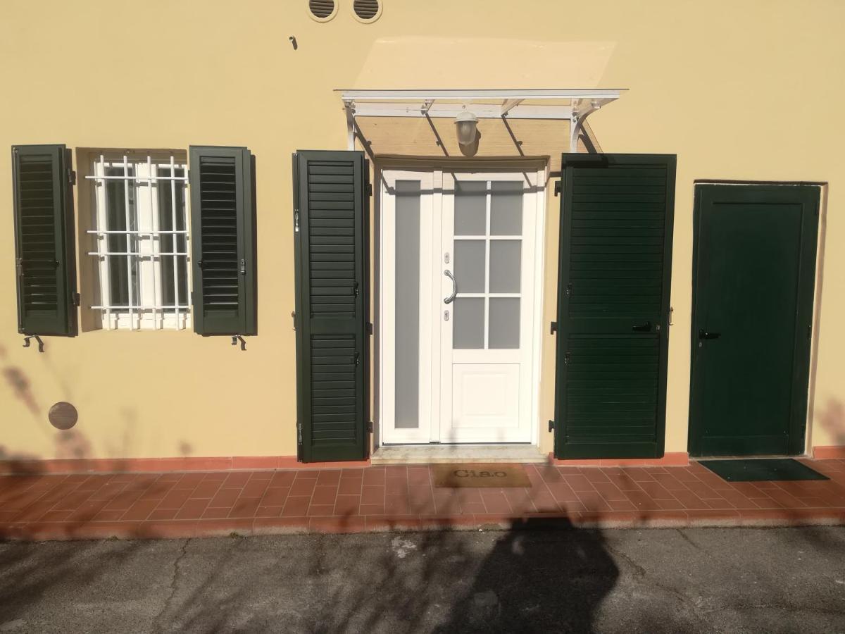 Lucca in Corte Esterno foto